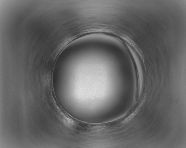 X0000060770993200511101209