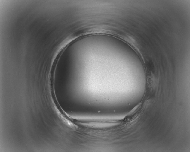 X0000060770995200511101209