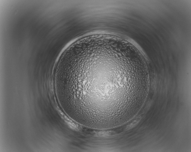 X0000060771004200511101209