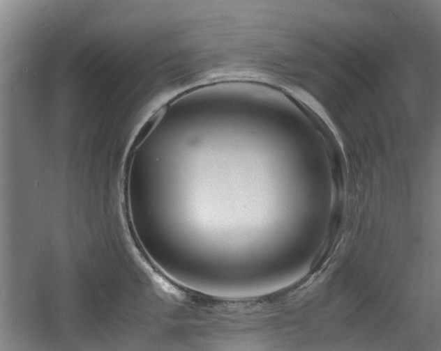 X0000060771005200511101209