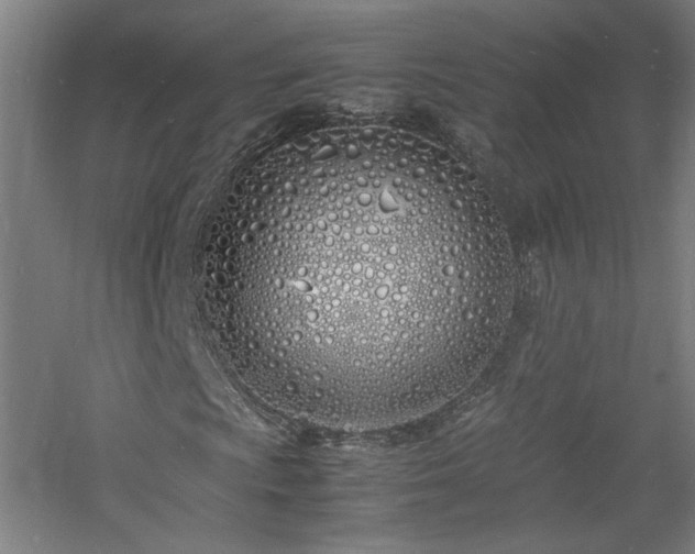 X0000060771009200511101208