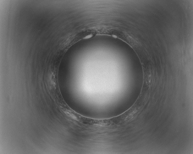 X0000060771010200511101208