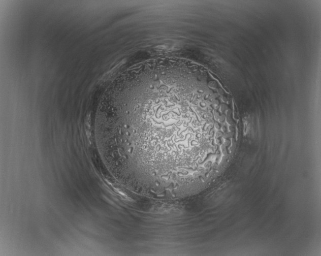 X0000060771011200511101208