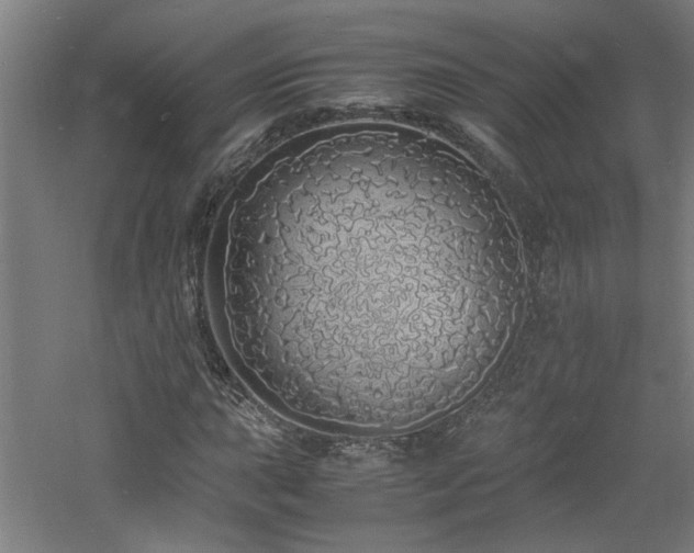 X0000060771015200511101208