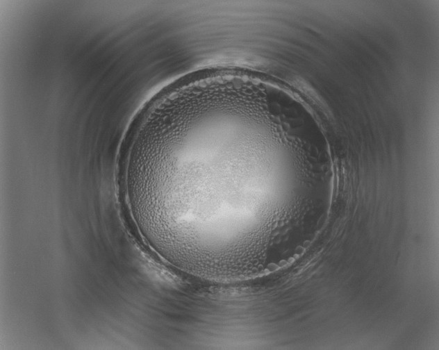X0000060771020200511101208