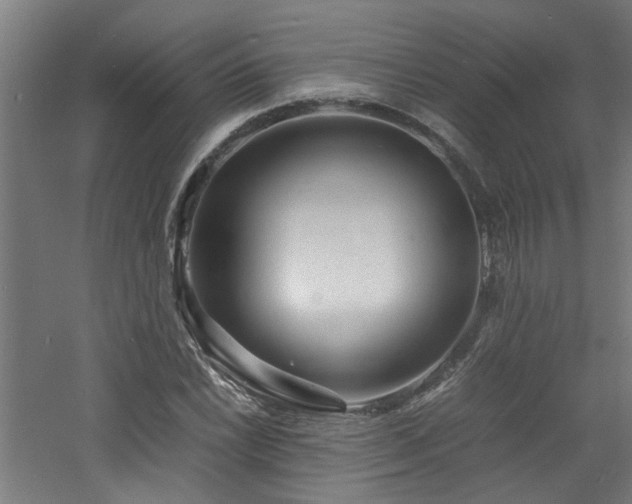 X0000060771022200511101208