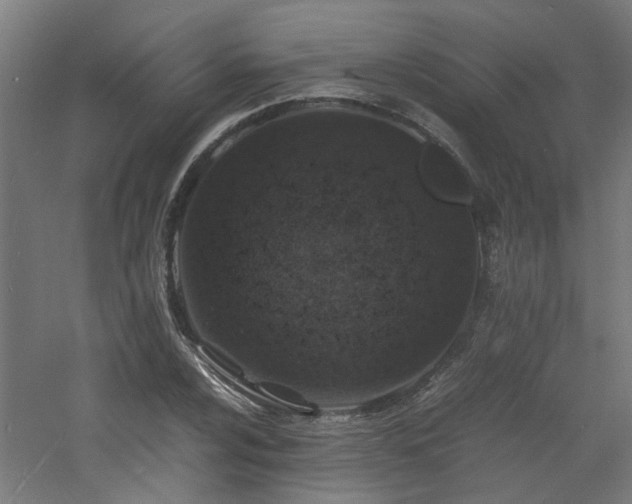 X0000060771024200511101208