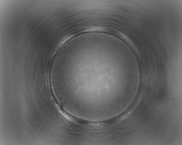 X0000060771041200511101209