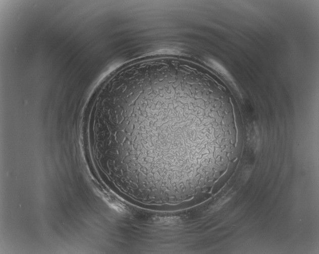 X0000060771043200511101209