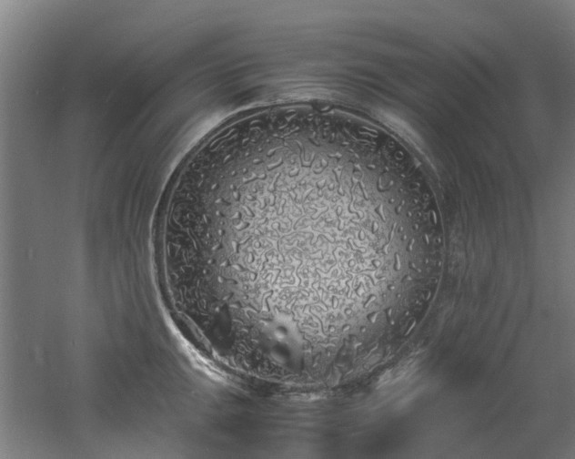 X0000060771047200511101209