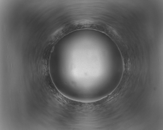 X0000060771062200511101208