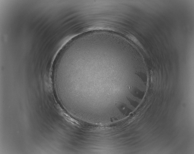 X0000060771068200511101208
