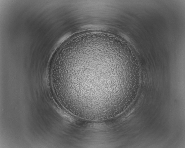 X0000060771074200511101208