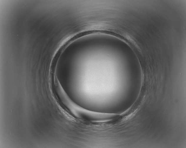 X0000060771077200511101208