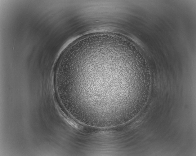 X0000060771078200511101208