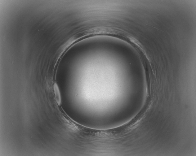 X0000060771089200511101207