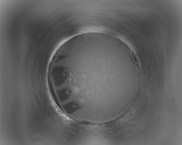 X0000060771104200511101207