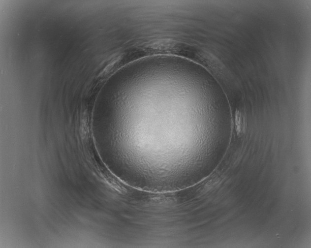 X0000060771107200511101206