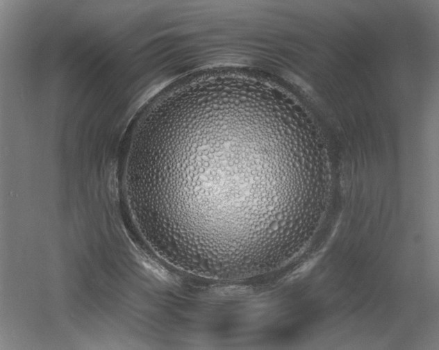 X0000060771113200511101207