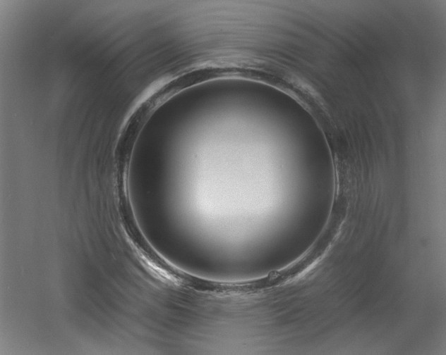 X0000060771114200511101207