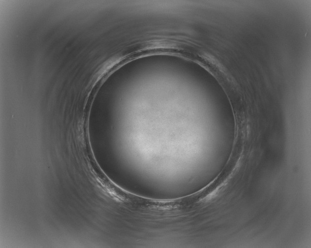 X0000060771121200511101207