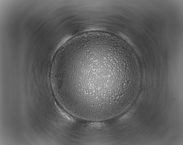 X0000060771137200511101207