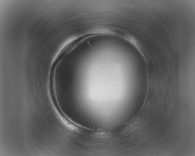 X0000060771139200511101207