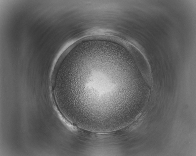 X0000060771152200511101207