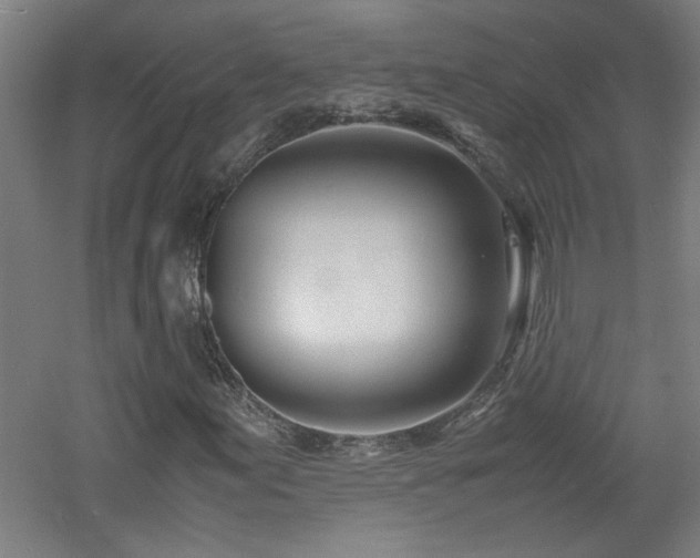 X0000060771155200511101206