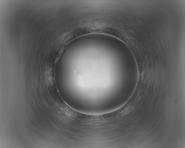 X0000060771156200511101206