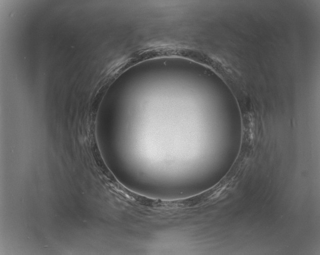 X0000060771157200511101206