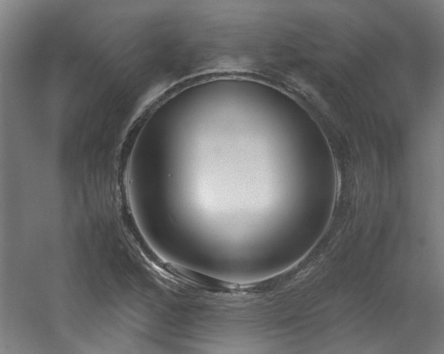 X0000060771168200511101206