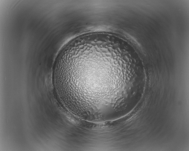X0000060771174200511101206