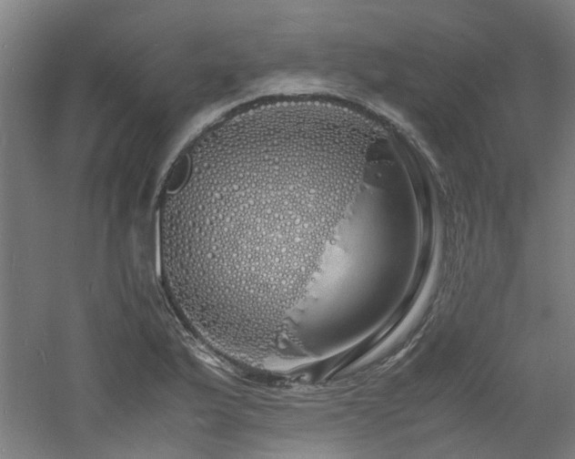 X0000060771175200511101206