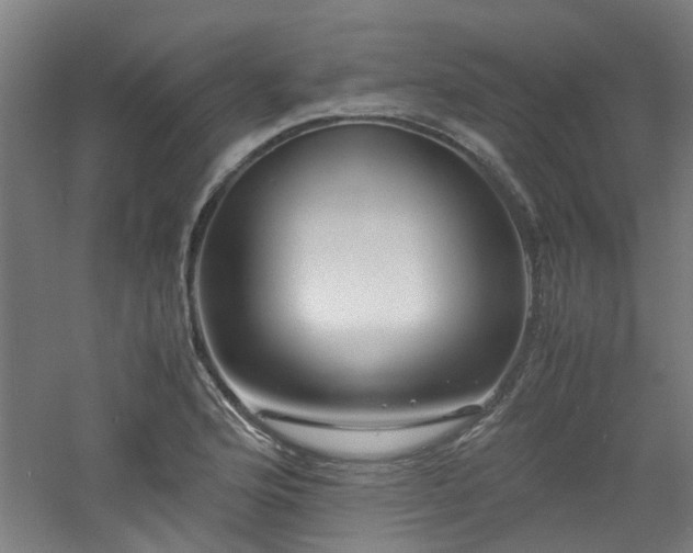 X0000060771176200511101206