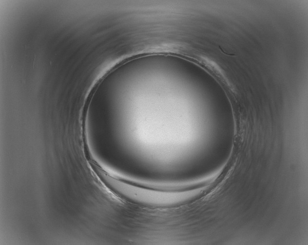 X0000060771184200511101206