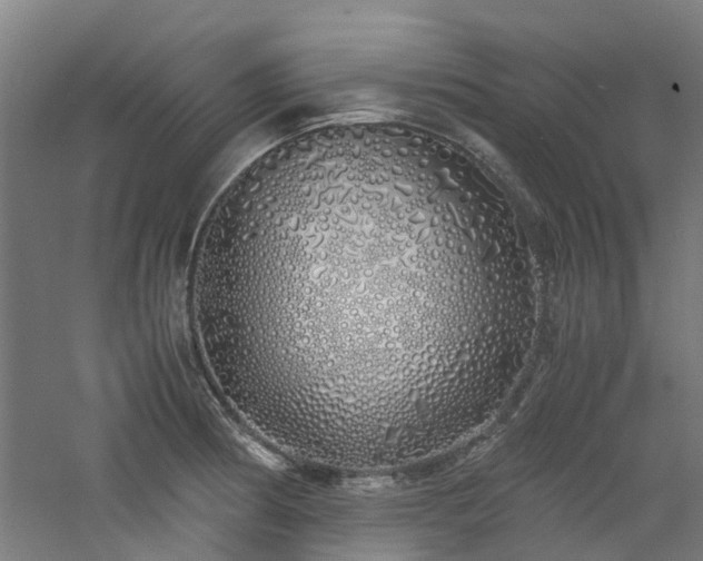 X0000060771186200511101206