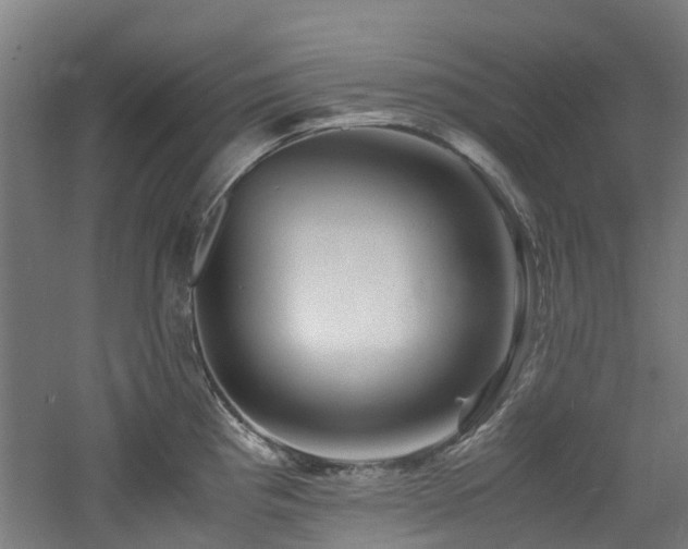 X0000060771193200511101206