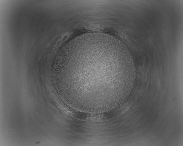 X0000060771201200511101205