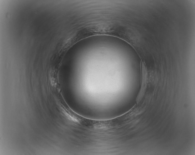 X0000060771202200511101205