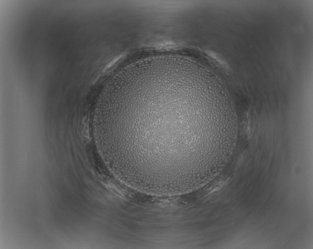 X0000060771205200511101205