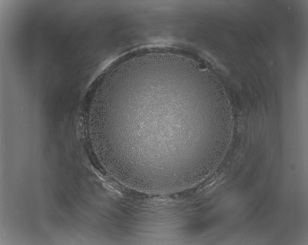 X0000060771208200511101205