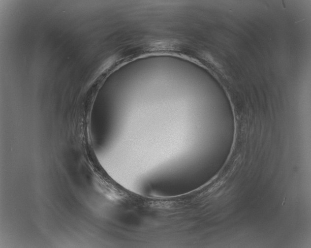 X0000060771211200511101205
