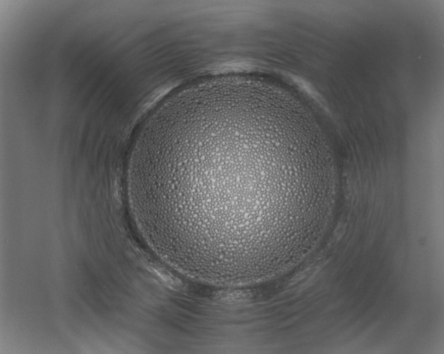 X0000060771217200511101205