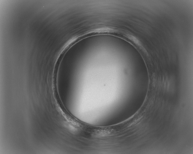 X0000060771229200511101205