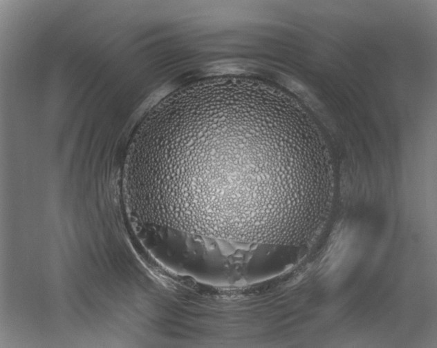 X0000060771233200511101205