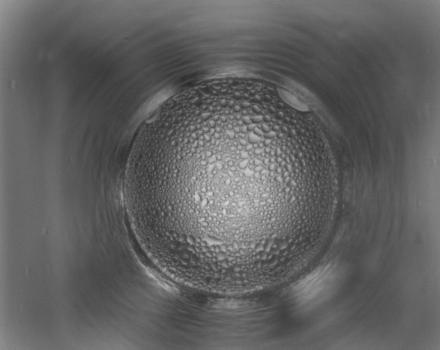 X0000060771241200511101205
