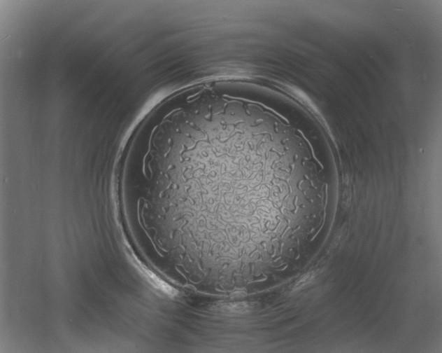 X0000060771243200511101206