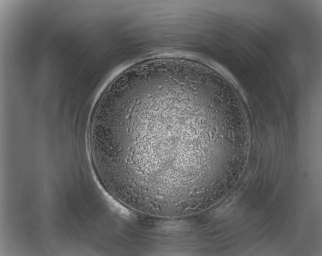 X0000060771247200511101206