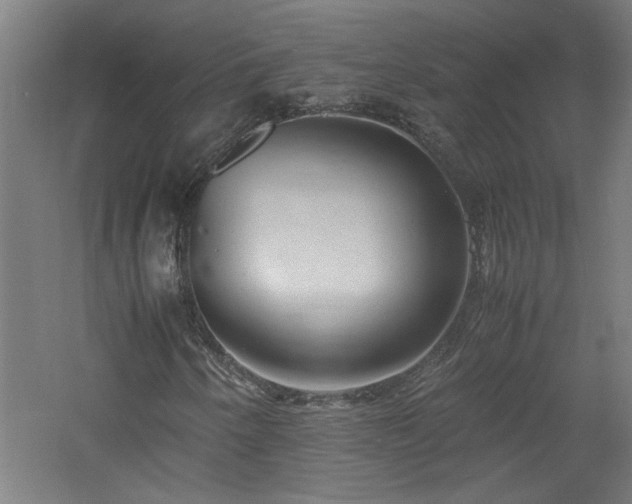 X0000060771250200511101205